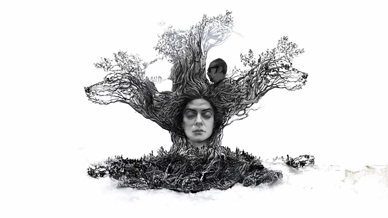 Nirbaak