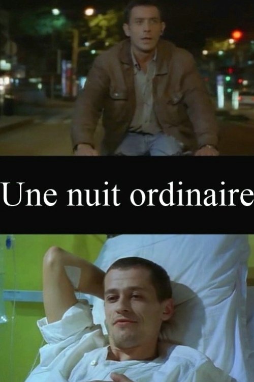 An Ordinary Night poster