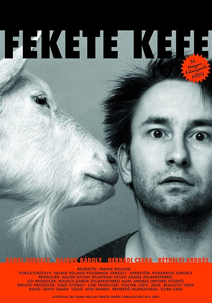 Black Brush poster