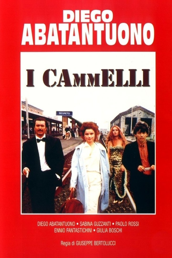 I cammelli poster