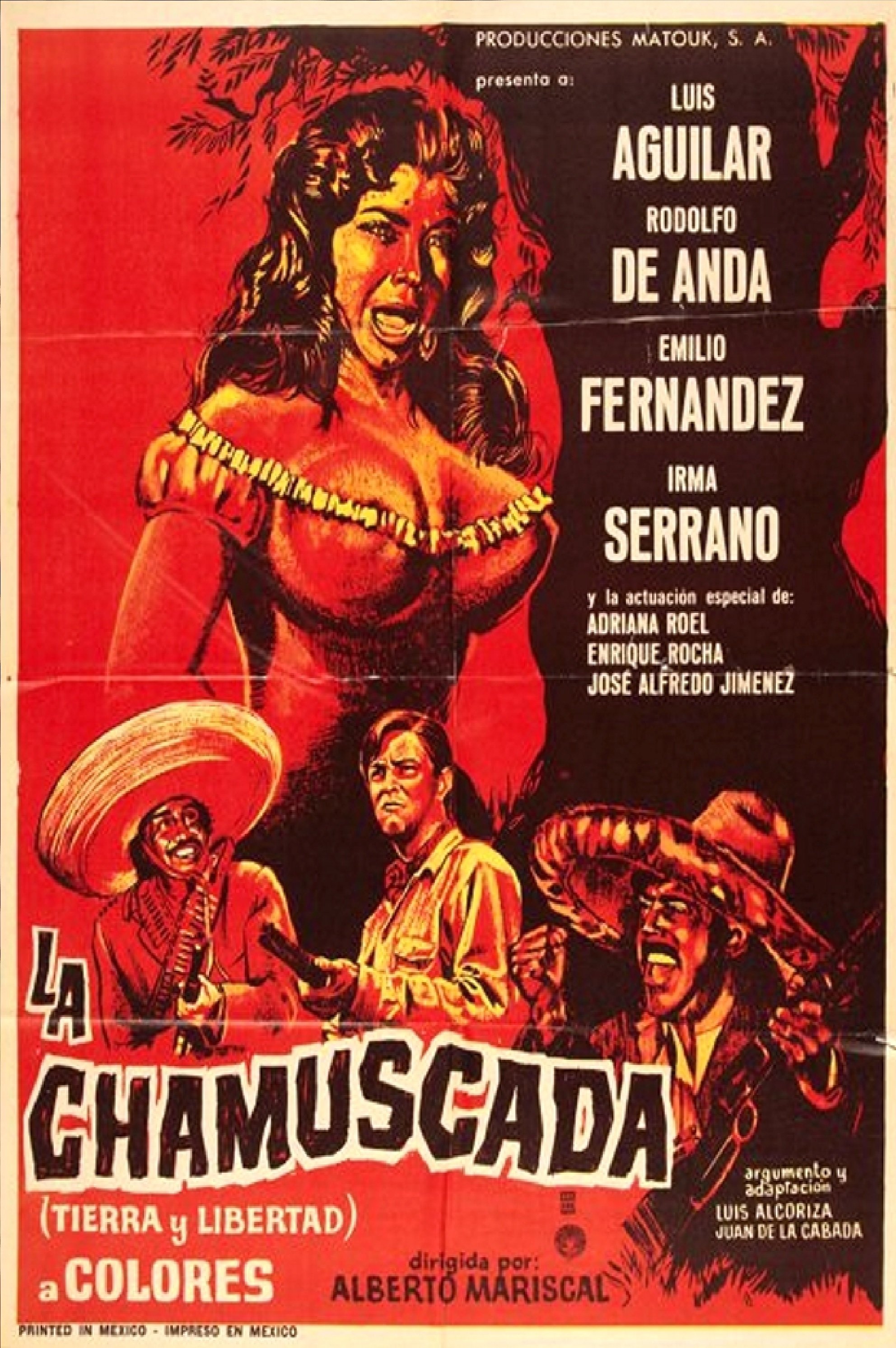 La chamuscada (Tierra y libertad) poster