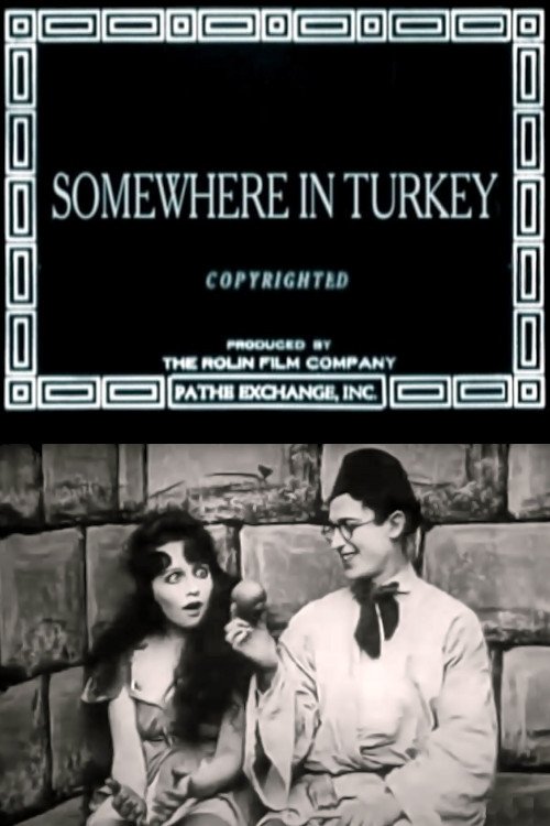 Somewhere in Turkey poster