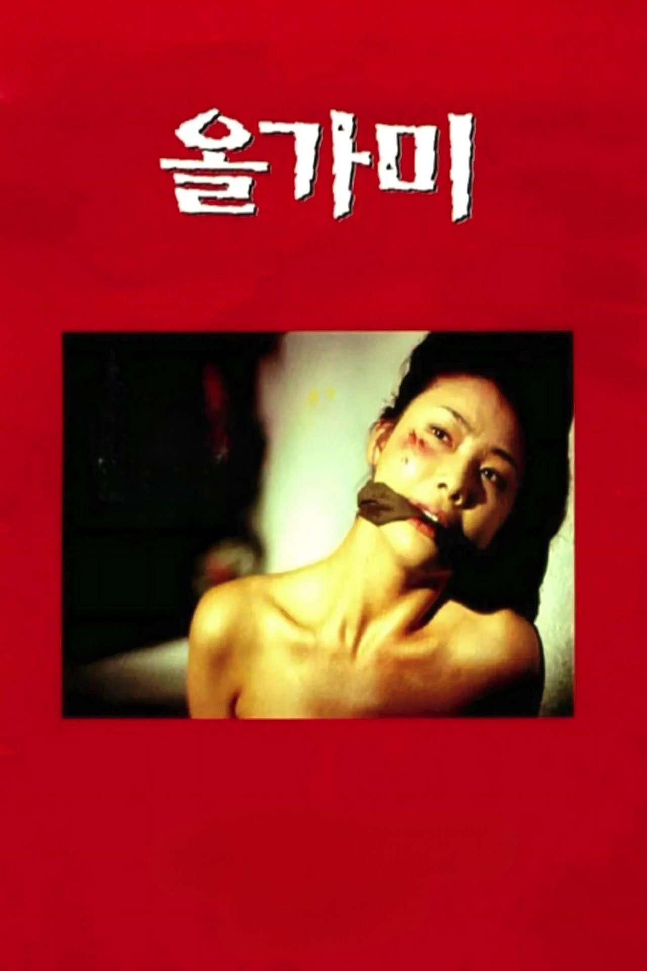 The Hole poster