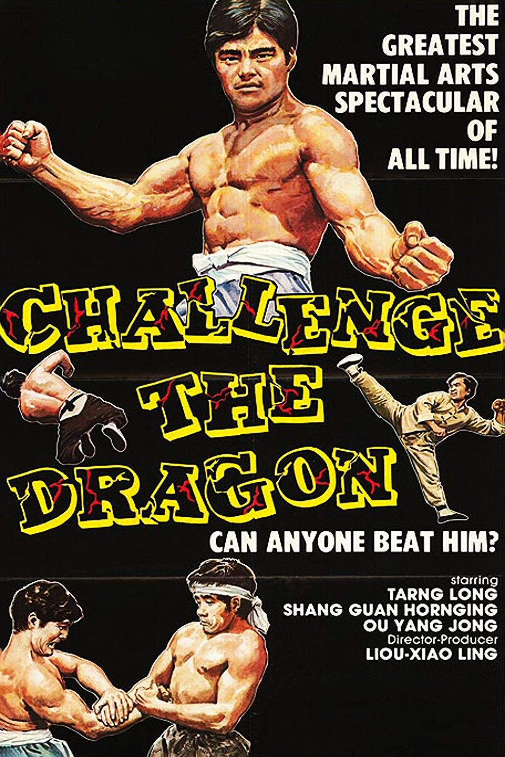 The Way of the Tiger poster
