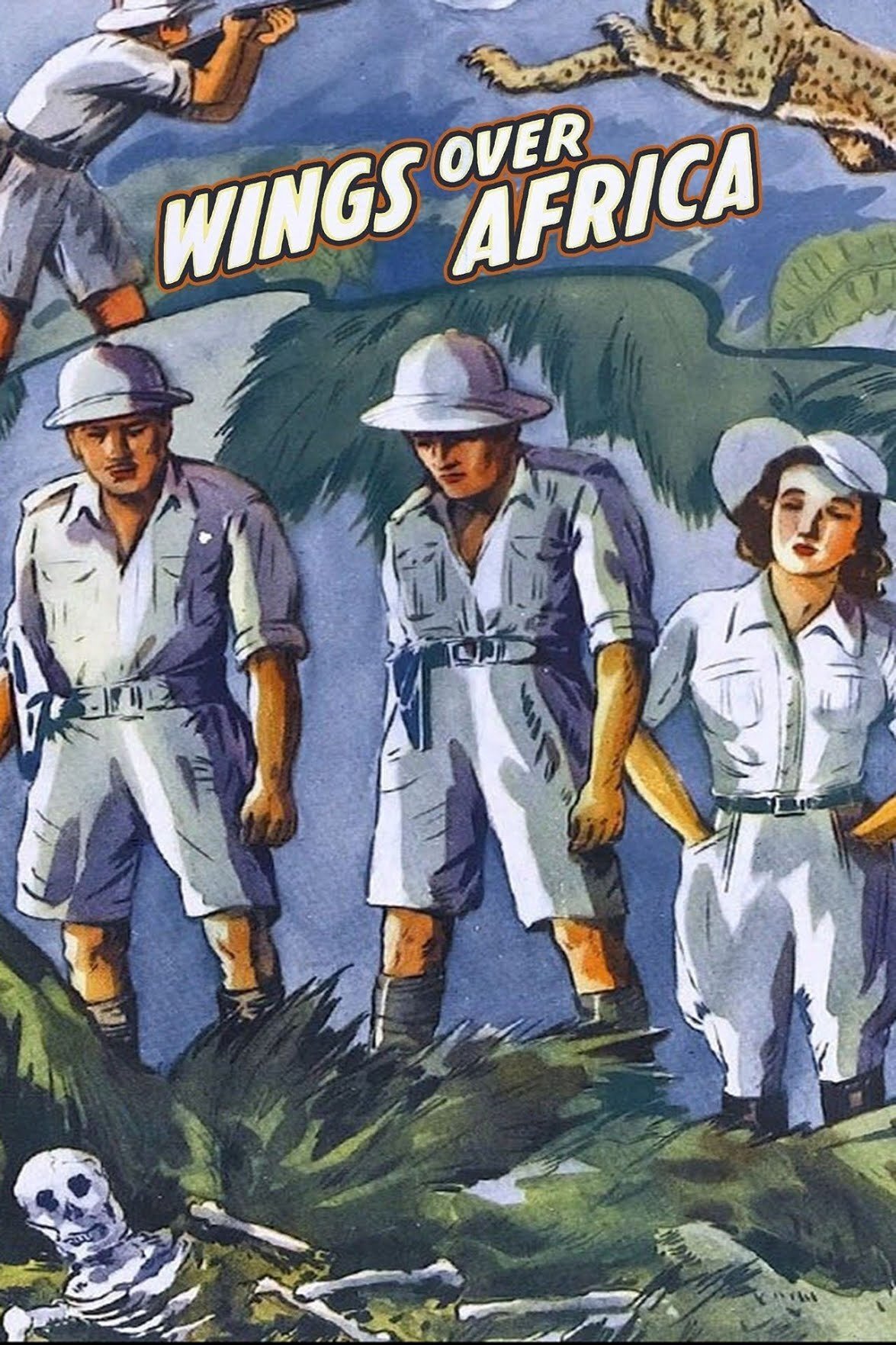 Wings over Africa poster
